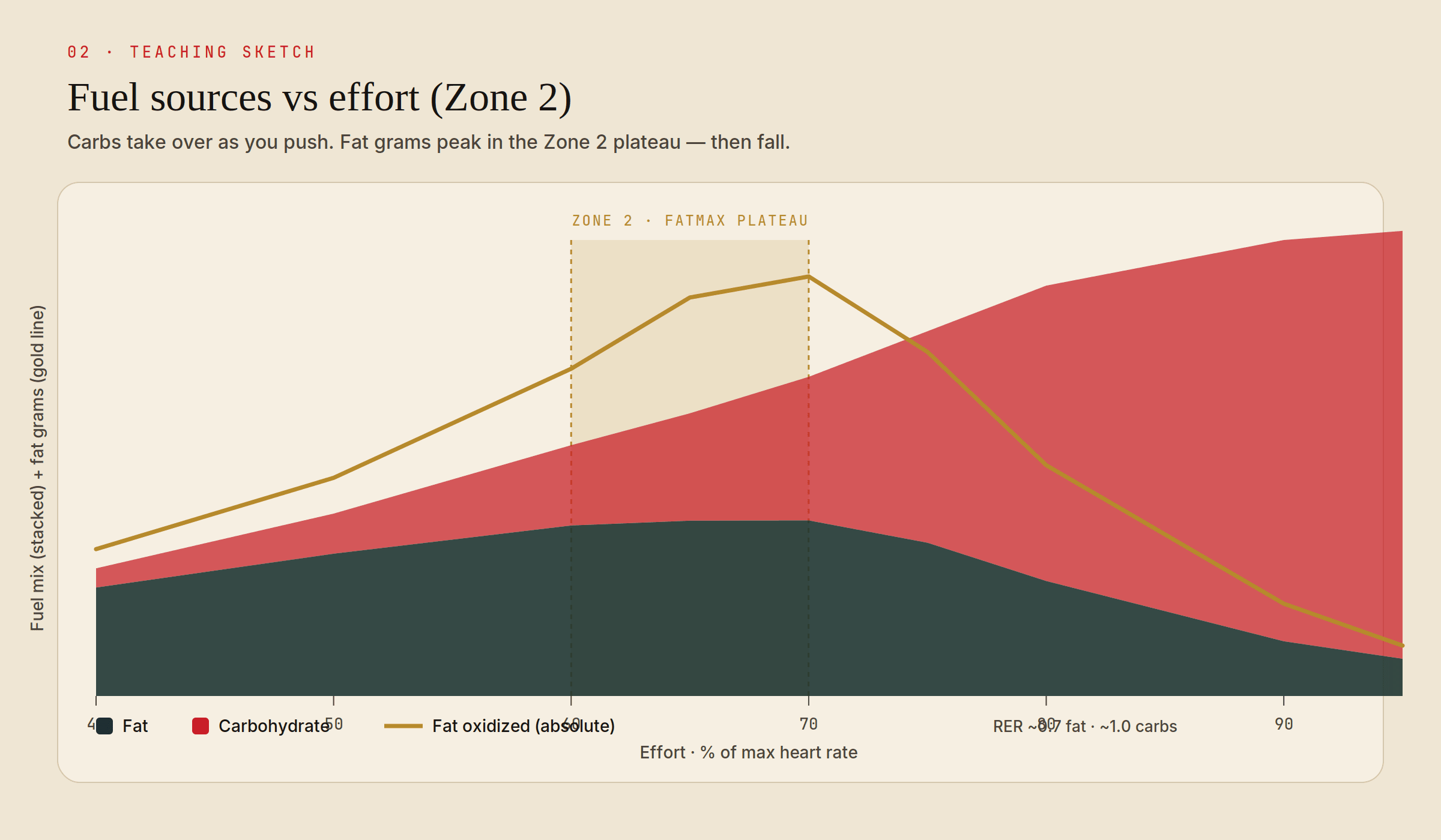 Teaching sketch of fat versus carbohydrate fuel mix across effort, with Zone 2 Fatmax plateau highlighted.