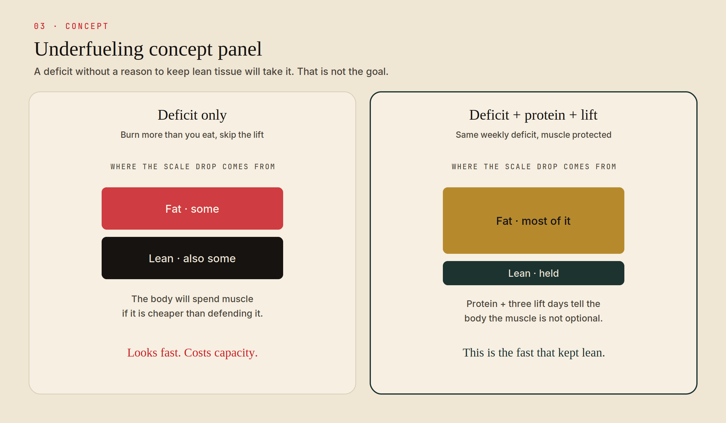 Concept panel: a deficit alone can spend lean tissue; a deficit with protein and lifting holds muscle.